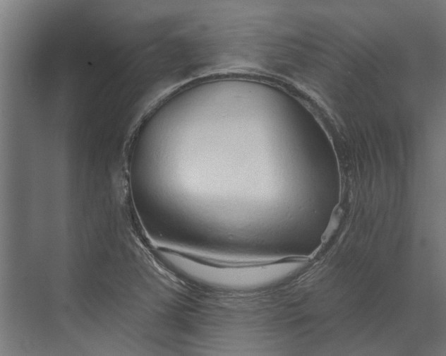 X0000073831363200608240940