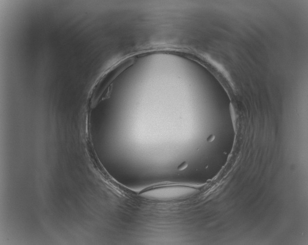 X0000073831365200608240940