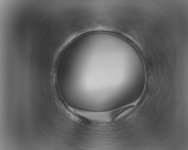 X0000073831367200608240940