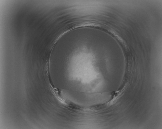 X0000073831369200608240940