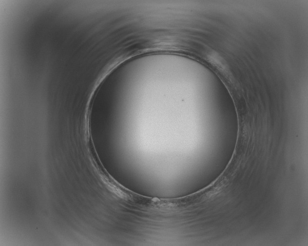 X0000073831370200608240940