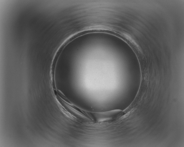 X0000073831372200608240940