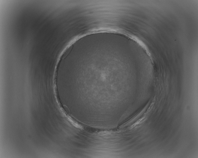 X0000073831373200608240940