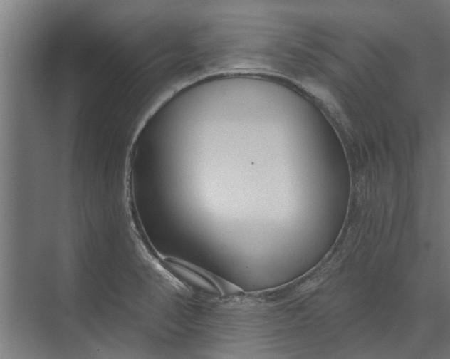 X0000073831374200608240940