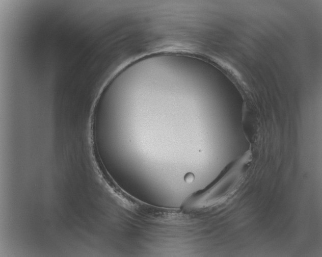 X0000073831375200608240940