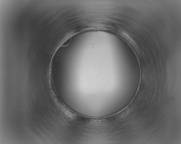 X0000073831378200608240940