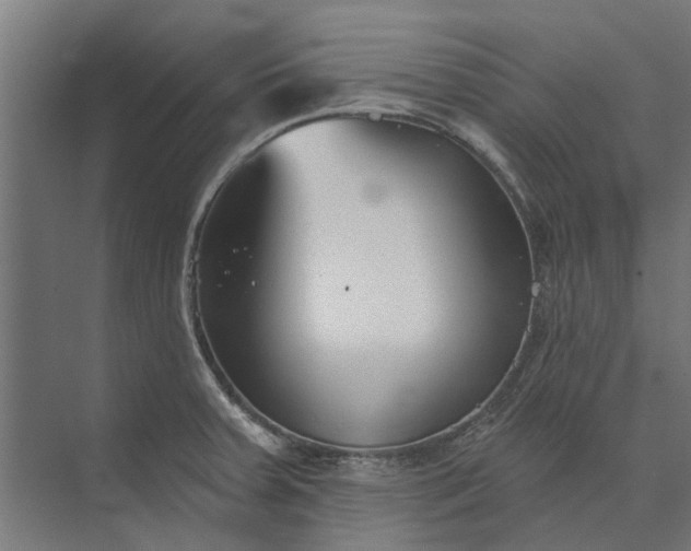 X0000073831379200608240940