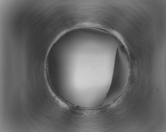 X0000073831381200608240940