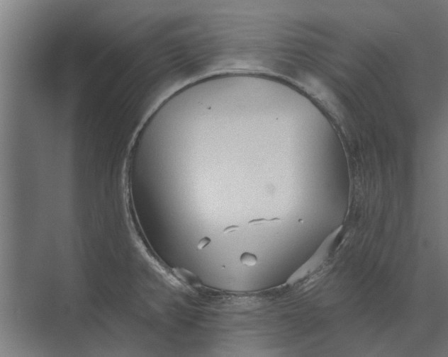 X0000073831382200608240940