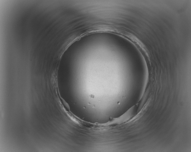 X0000073831385200608240939