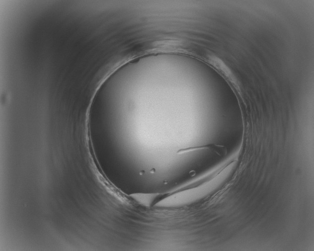 X0000073831386200608240939