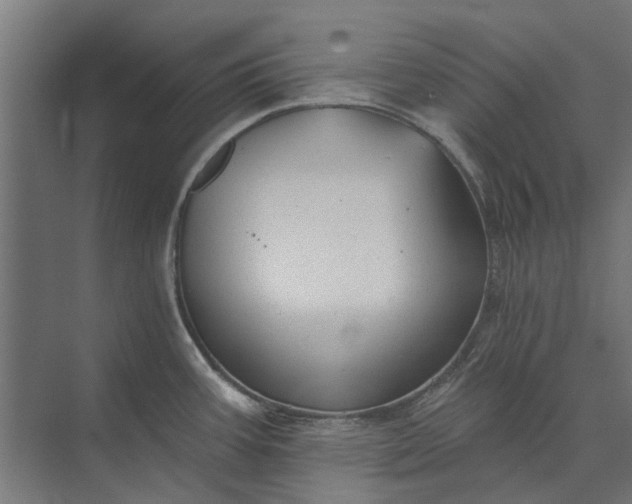 X0000073831387200608240939