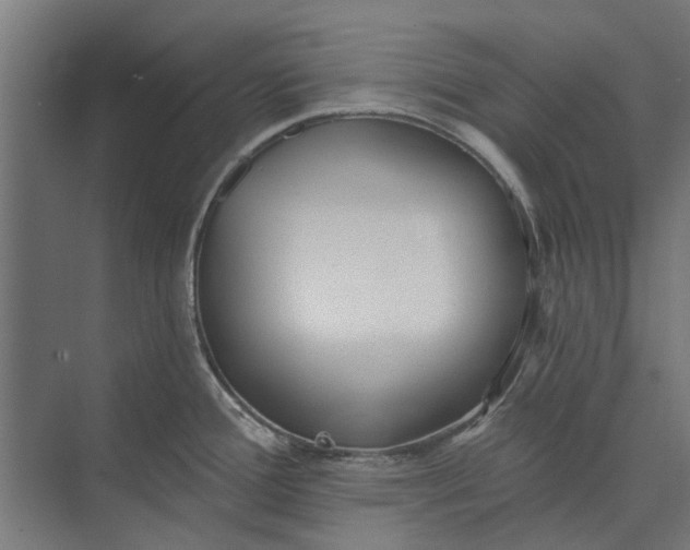 X0000073831388200608240939