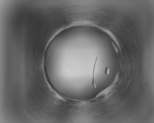 X0000073831390200608240939