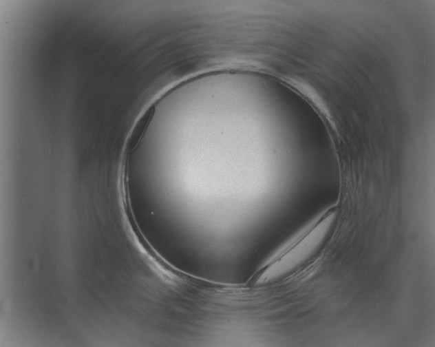 X0000073831391200608240939