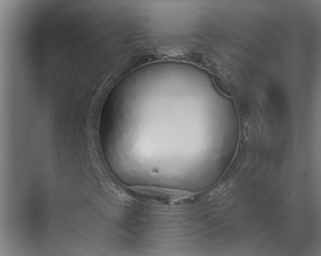 X0000073831393200608240939