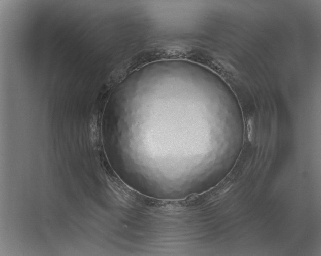 X0000073831395200608240939