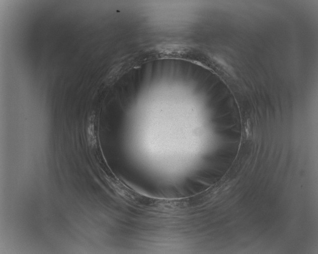 X0000073831396200608240939