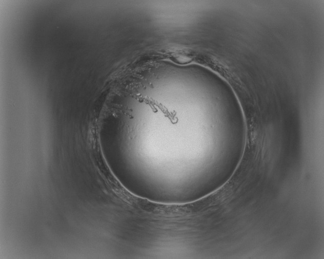 X0000073831397200608240939