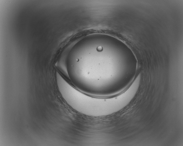 X0000073831398200608240939