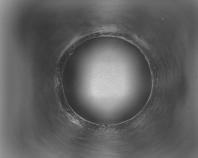 X0000073831400200608240939