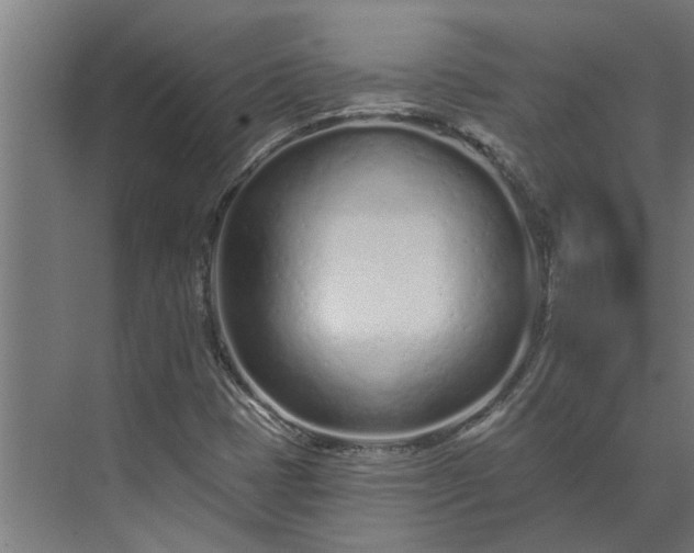 X0000073831401200608240939