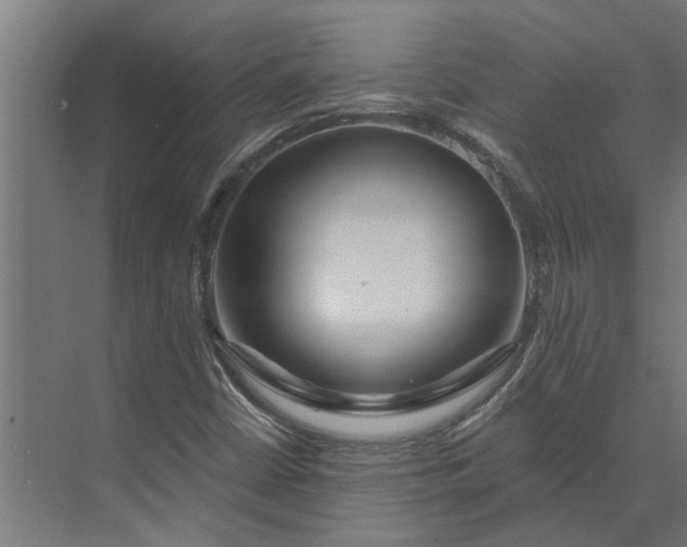 X0000073831402200608240939