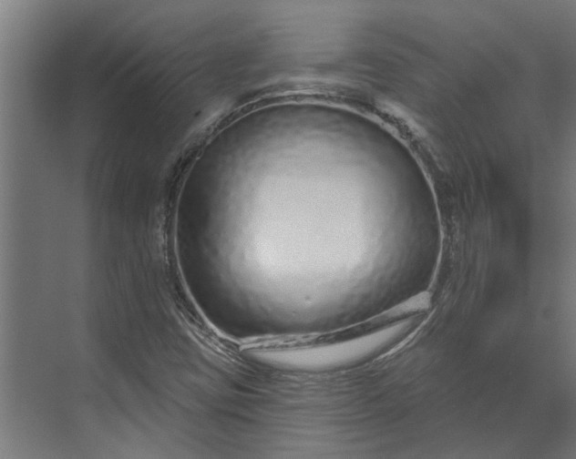 X0000073831403200608240939