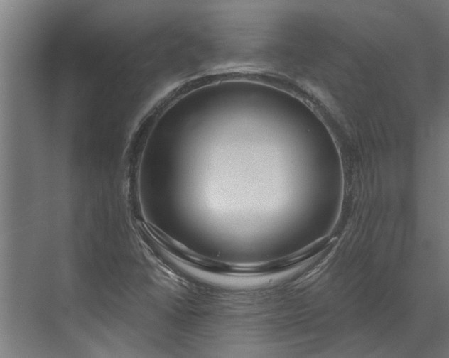 X0000073831406200608240939