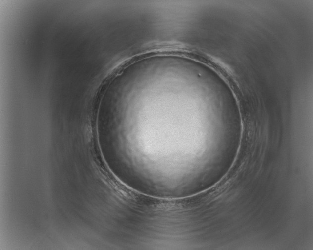 X0000073831407200608240939