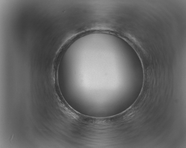 X0000073831408200608240939