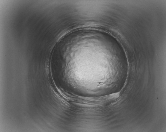 X0000073831409200608240939