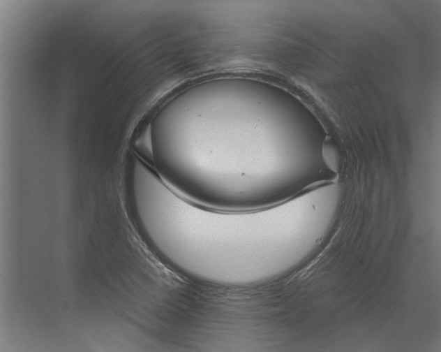 X0000073831410200608240939