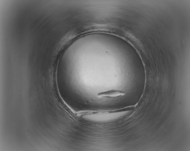 X0000073831411200608240939