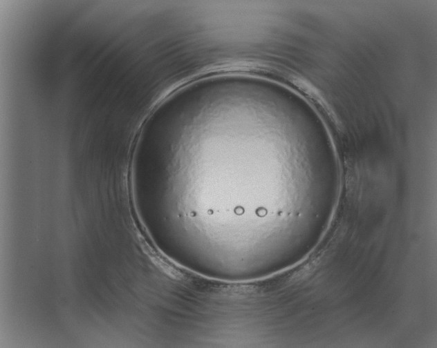 X0000073831417200608240939