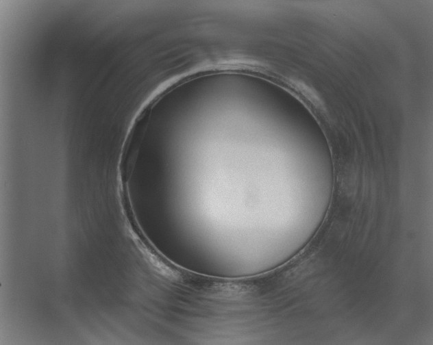 X0000073831420200608240939