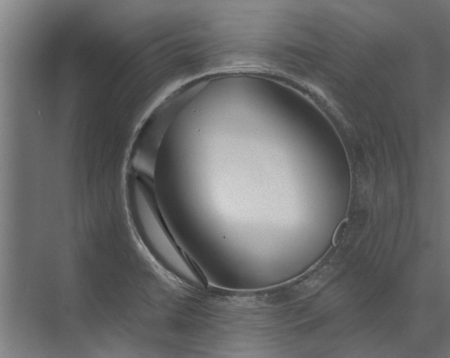 X0000073831422200608240939