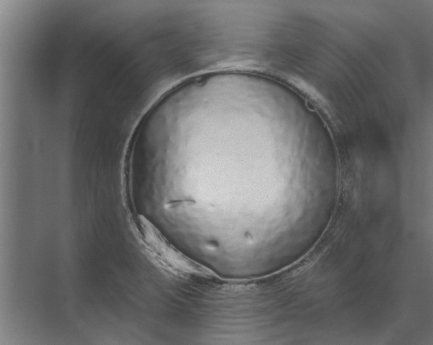 X0000073831423200608240939