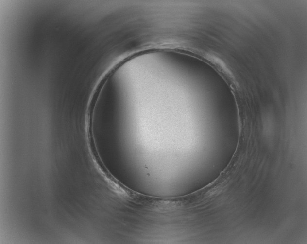 X0000073831424200608240939