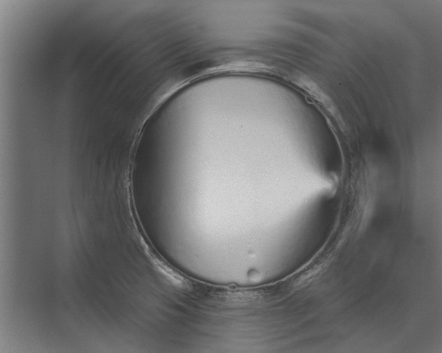 X0000073831425200608240939