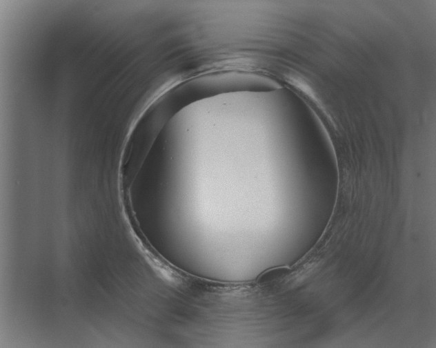 X0000073831426200608240939