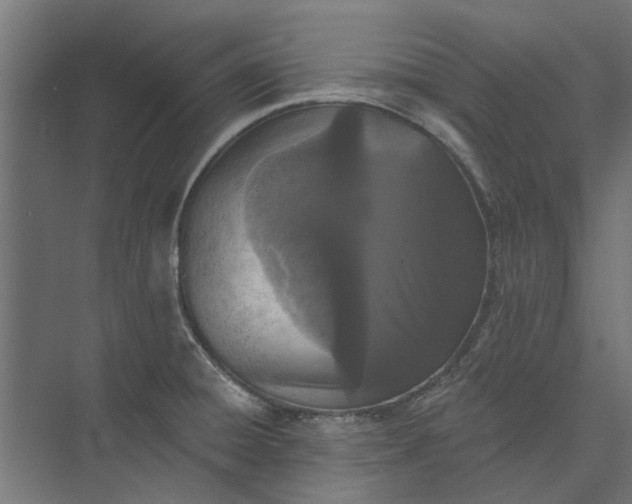 X0000073831428200608240939