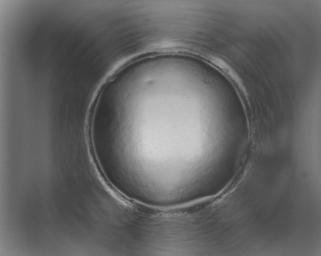 X0000073831429200608240939