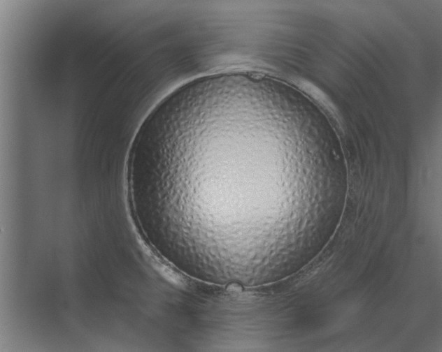 X0000073831431200608240939