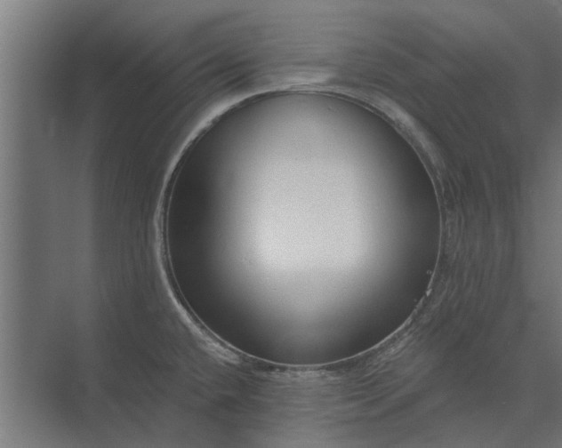 X0000073831432200608240939