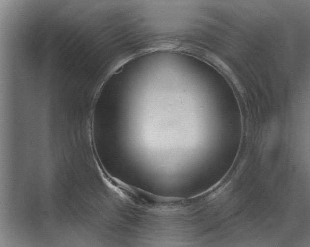 X0000073831433200608240939