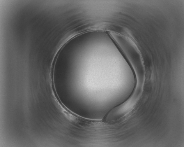 X0000073831434200608240939