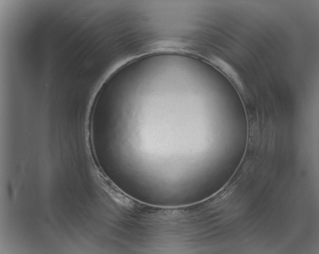 X0000073831435200608240939