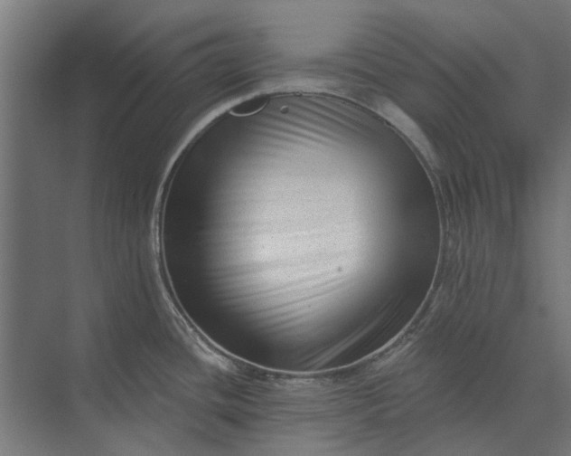 X0000073831436200608240939