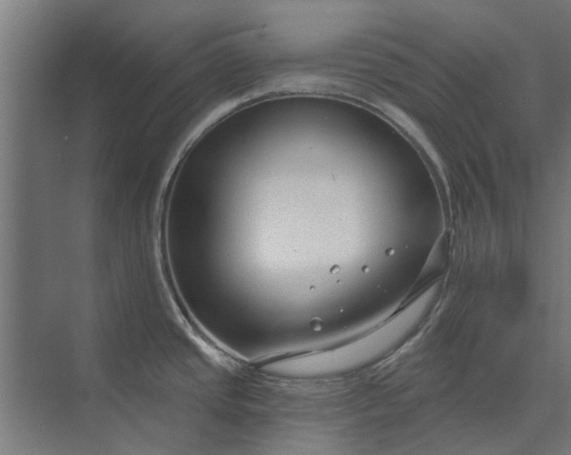 X0000073831437200608240939